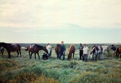 1966-Stes-Marie de la Mer-Ausritt in die Camargue